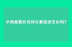 小狗需要补充锌元素促进生长吗？