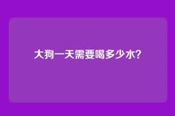 大狗一天需要喝多少水？