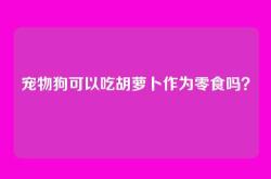 宠物狗可以吃胡萝卜作为零食吗？