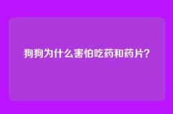狗狗为什么害怕吃药和药片？