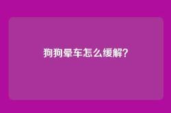 狗狗晕车怎么缓解？