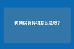 狗狗误食异物怎么急救？