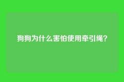 狗狗为什么害怕使用牵引绳？