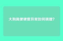 大狗粪便硬度异常如何调理？