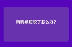 狗狗被蛇咬了怎么办？