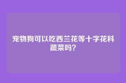 宠物狗可以吃西兰花等十字花科蔬菜吗？
