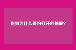 狗狗为什么害怕打开的抽屉？