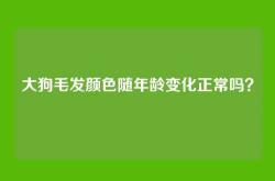 大狗毛发颜色随年龄变化正常吗？