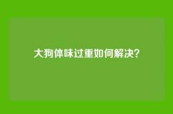 大狗体味过重如何解决？