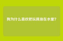 狗为什么喜欢把玩具泡在水里？
