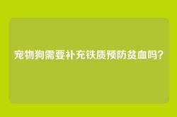 宠物狗需要补充铁质预防贫血吗？