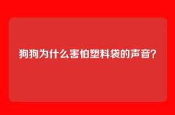 狗狗为什么害怕塑料袋的声音？