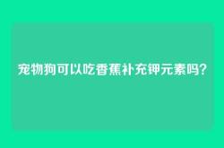 宠物狗可以吃香蕉补充钾元素吗？