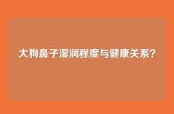 大狗鼻子湿润程度与健康关系？