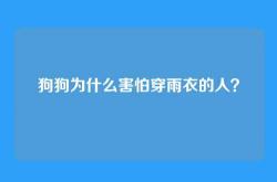 狗狗为什么害怕穿雨衣的人？
