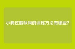 小狗过度吠叫的训练方法有哪些？