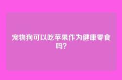 宠物狗可以吃苹果作为健康零食吗？