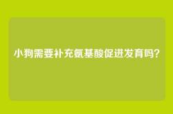 小狗需要补充氨基酸促进发育吗？