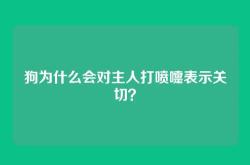 狗为什么会对主人打喷嚏表示关切？