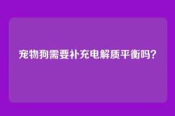 宠物狗需要补充电解质平衡吗？