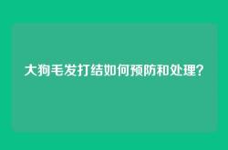 大狗毛发打结如何预防和处理？