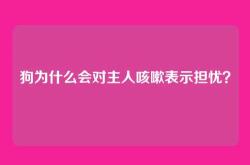 狗为什么会对主人咳嗽表示担忧？