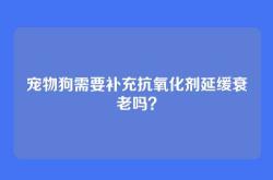 宠物狗需要补充抗氧化剂延缓衰老吗？