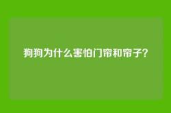 狗狗为什么害怕门帘和帘子？