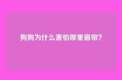 狗狗为什么害怕厚重窗帘？