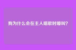 狗为什么会在主人唱歌时嚎叫？