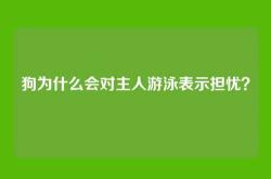 狗为什么会对主人游泳表示担忧？