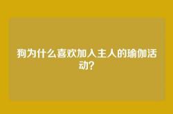 狗为什么喜欢加入主人的瑜伽活动？