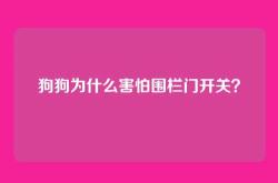 狗狗为什么害怕围栏门开关？
