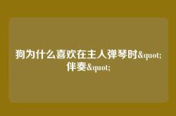 狗为什么喜欢在主人弹琴时"伴奏"
