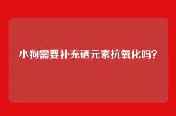 小狗需要补充硒元素抗氧化吗？