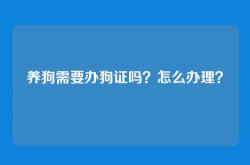 养狗需要办狗证吗？怎么办理？