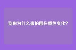 狗狗为什么害怕围栏颜色变化？