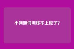 小狗如何训练不上柜子？
