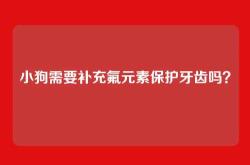 小狗需要补充氟元素保护牙齿吗？