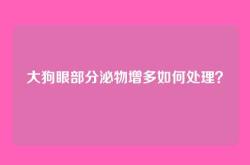 大狗眼部分泌物增多如何处理？