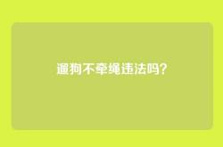 遛狗不牵绳违法吗？