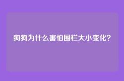 狗狗为什么害怕围栏大小变化？