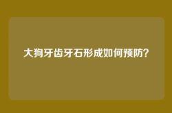 大狗牙齿牙石形成如何预防？