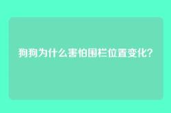 狗狗为什么害怕围栏位置变化？