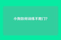 小狗如何训练不爬门？