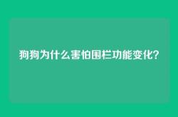 狗狗为什么害怕围栏功能变化？