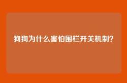狗狗为什么害怕围栏开关机制？