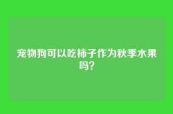 宠物狗可以吃柿子作为秋季水果吗？