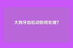 大狗牙齿松动如何处理？