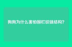 狗狗为什么害怕围栏铰链结构？
